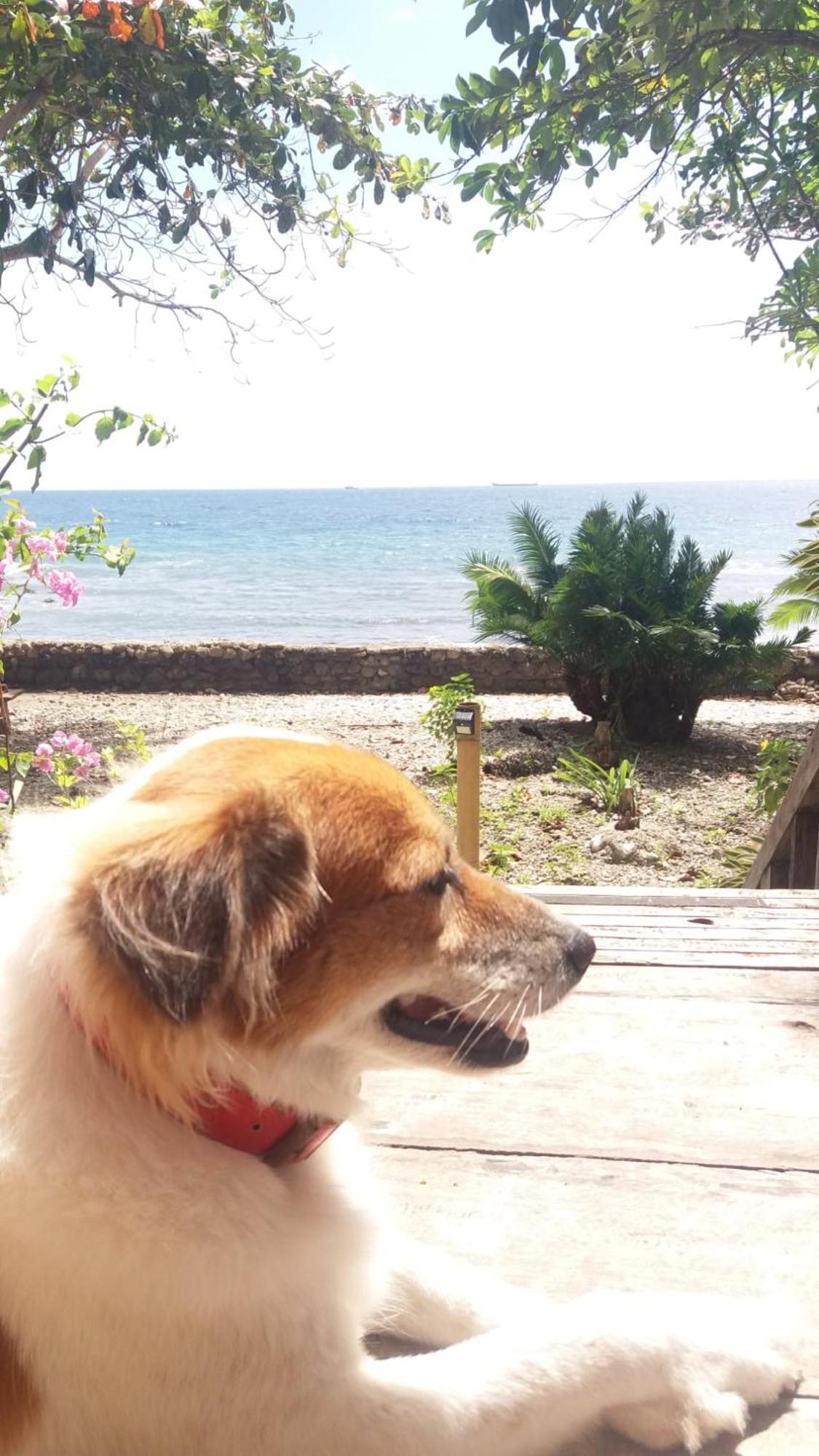 Paseo Del Mar Seaside 2*