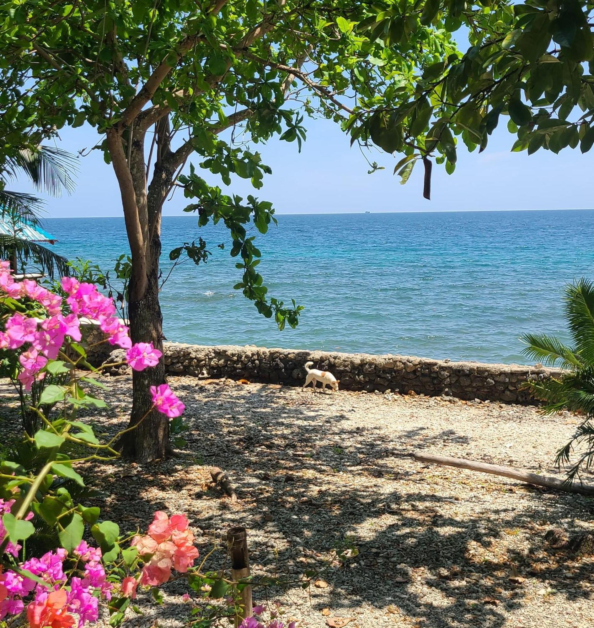 Paseo Del Mar Seaside Resort 2*